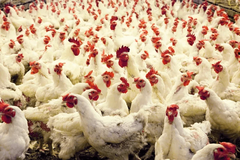 Credit: Carol Highsmith via Rawpixel and CC0-1.0