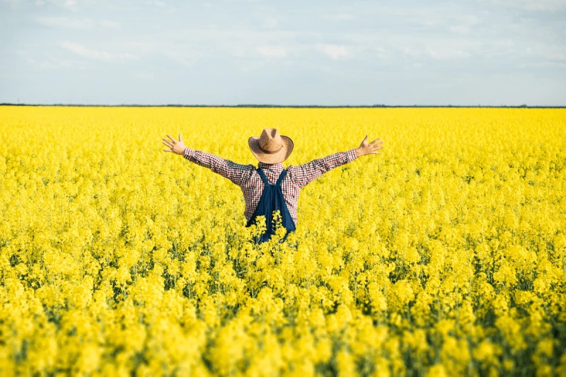 Credit: Getty Images/iStockphoto