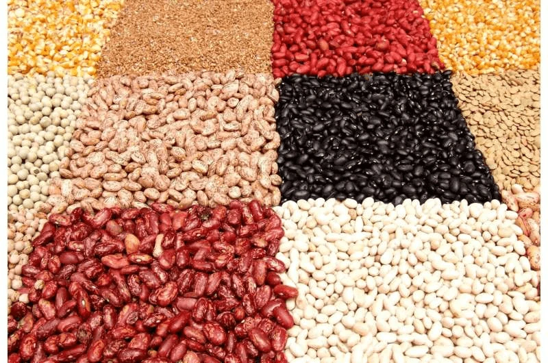 png bean pixa bay pub In essence, Nigeria’s journey towards becoming a biotechnology and biosafety destination signifies more than just scientific progress. It represents a collaborative effort among African nations, aiming to harness cutting-edge technology to achieve food security, economic growth, and sustainable agricultural practices. Credit: Pixabay via CC0-1.0