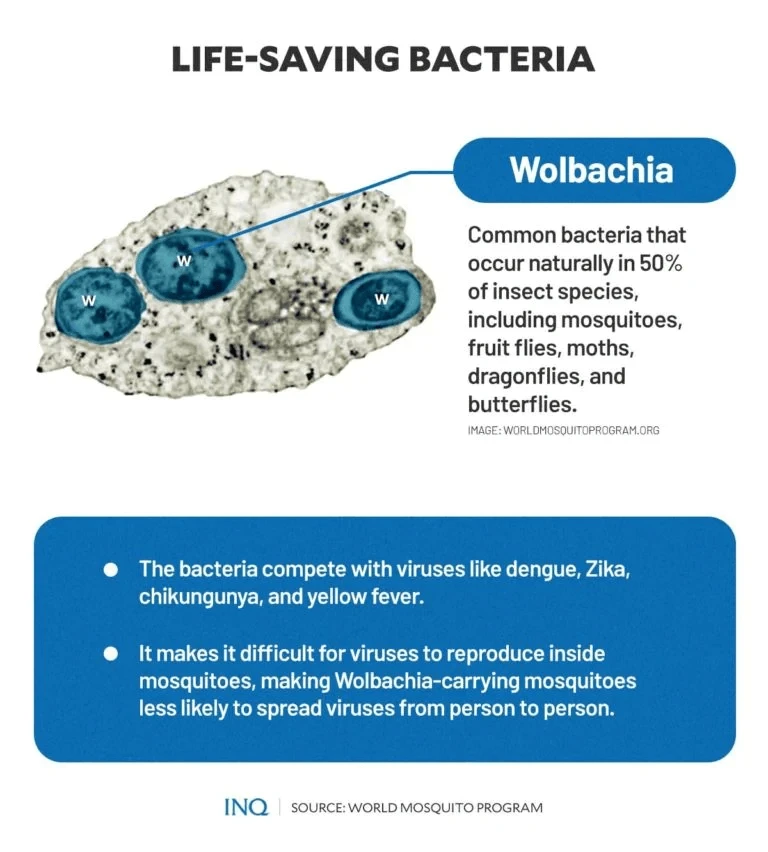 life saving bacteria x life saving bacteria x