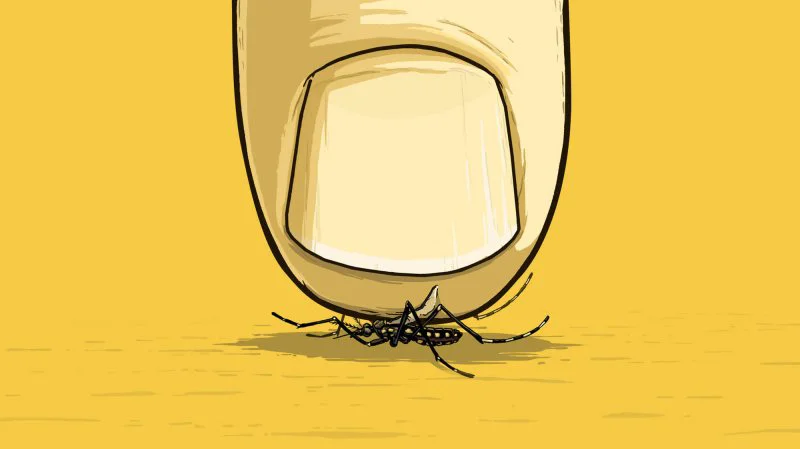 Credit: Matthew Twombly/NPR