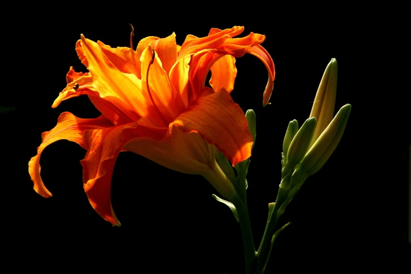 Credit: Liz West/Flickr (CC BY 2.0)