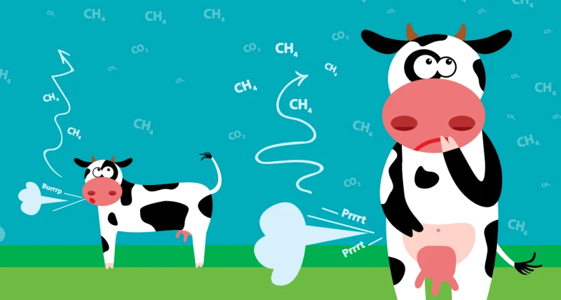 cow-methane-climate-change-beef-greenhouse-gas_orig cow-methane-climate-change-beef-greenhouse-gas_orig