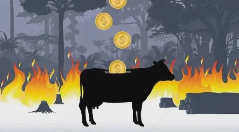 Credit: Global Witness