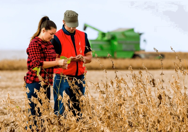 Credit: Getty Images/iStockphoto