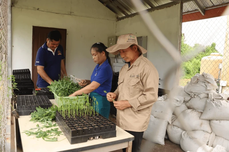 el lado invisible de la ciencia protegiendo los cultivos mediante de la nanotecnologia alianza bioversity international ciat