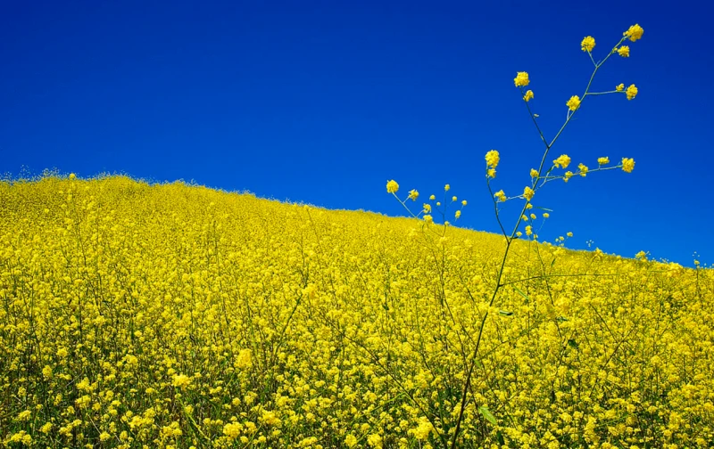 Screen Shot at AM Screen Shot at AM