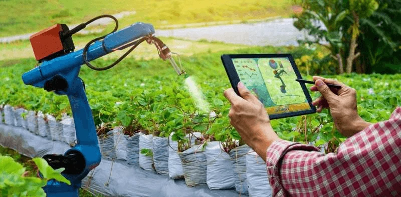 Credit: kung_tom/shutterstock