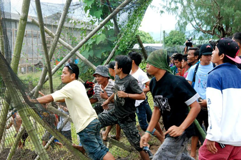 FT GoldenRice BreakIn jpg CROP original original