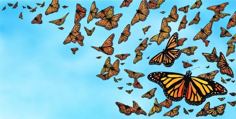 Credit: Avery Orendorf