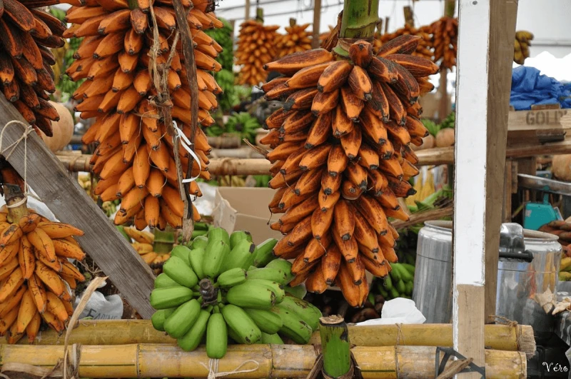 Credit: Saga70/Wikimedia