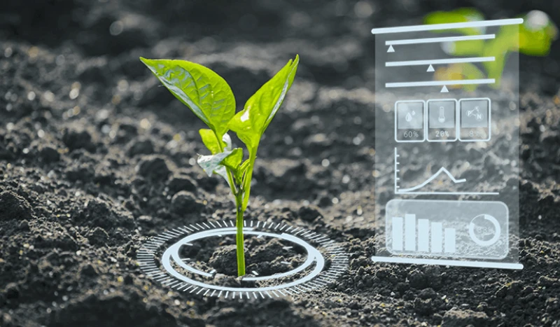 bp ai in agriculture the future of farming body im bp ai in agriculture the future of farming body im