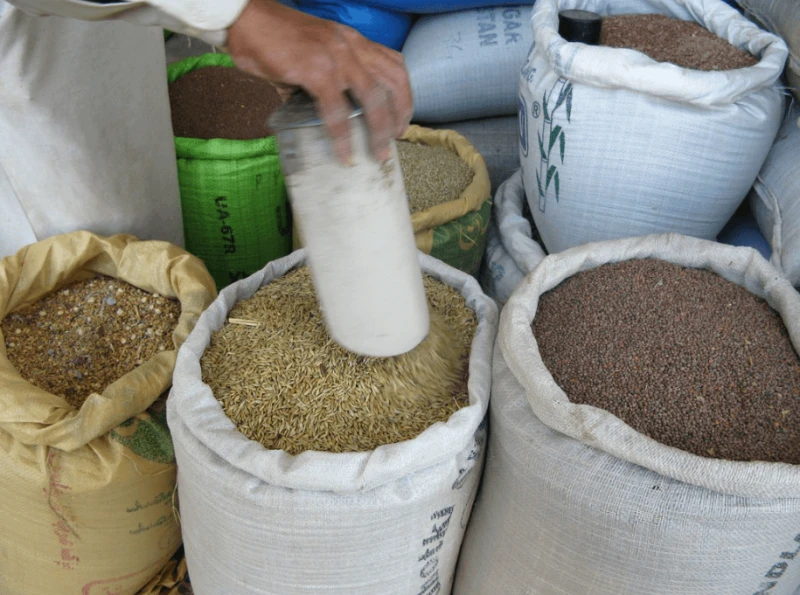 Agricultural seed on sale. Credit: M. DeFreese and CIMMYT. via CC BY-NC-SA 2.0