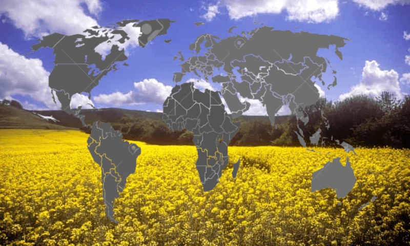 Credit: Chris George/Alamy/Canva