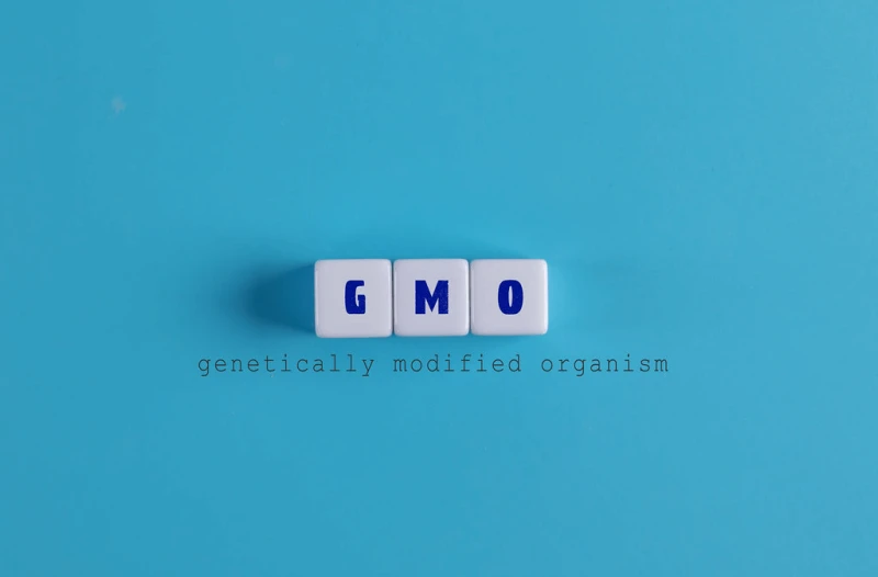 Credit: Jernej Furman/Flickr (CC BY 2.0)