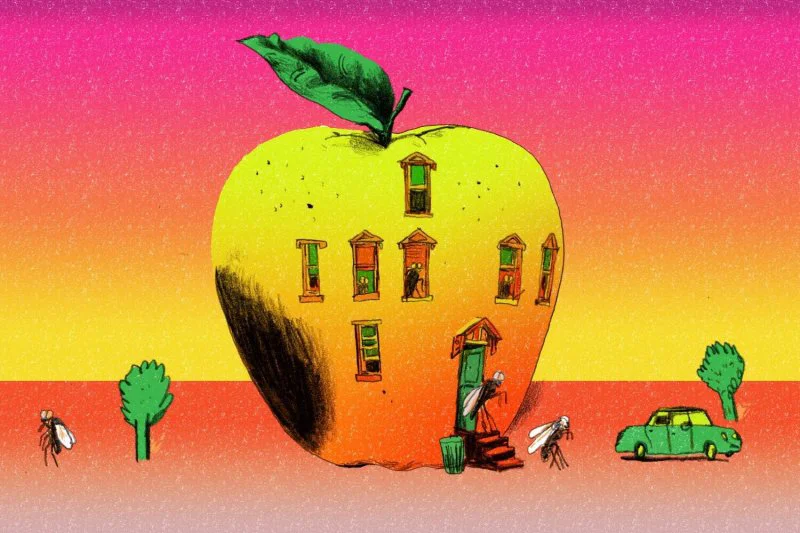 Fruit flies of all varieties can be a nuisance when they flit about homes, but their aggregate effect on agriculture can be disaster. Credit: Peter Oumanski