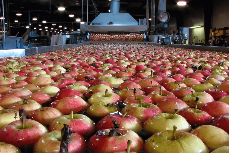 Credit: Paulacobleigh/Adobe