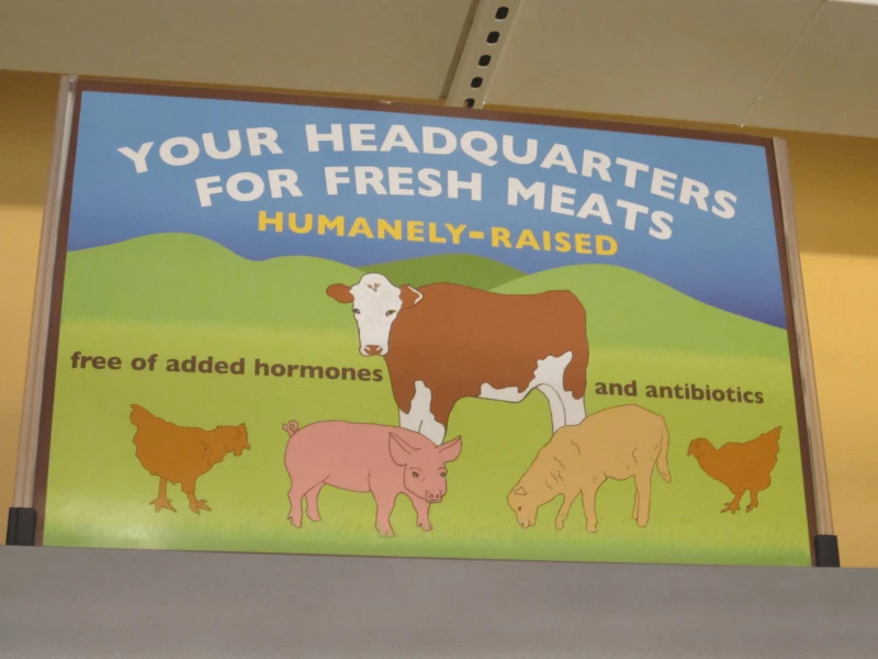 Credit: Humaneitarian