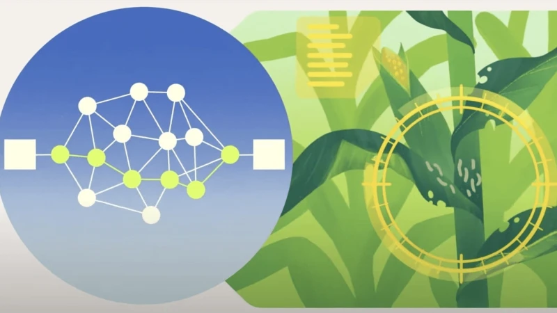 screen shot at scaled e