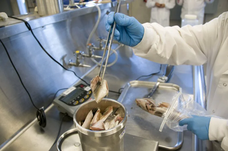 Seafood-_FDA_Lab_2881_(4494783228) Credit: Wikipedia Commons