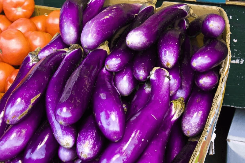 eggplant vegetable food fresh eggplant vegetable food fresh