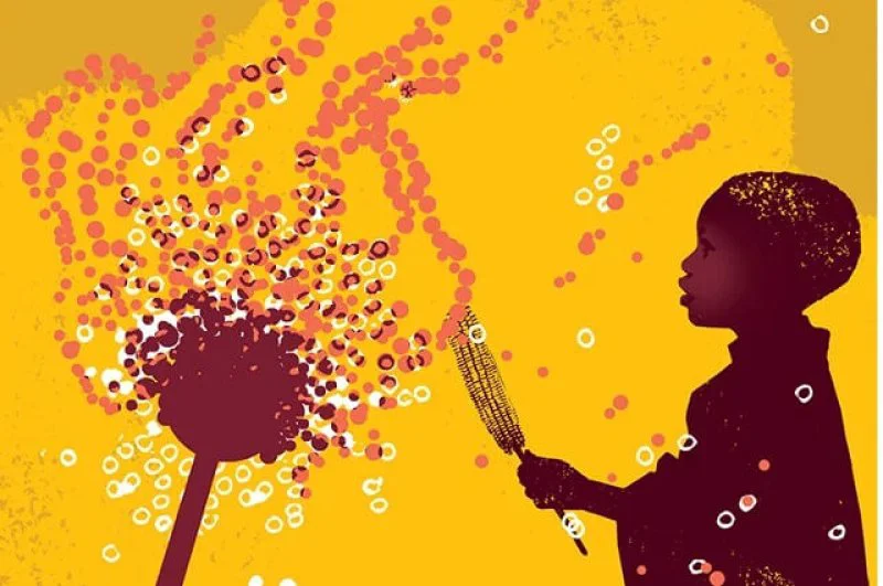 Aflatoxin contributes to up to 155,000 cases of liver cancer per year, mostly in Asia and Sub-Saharan Africa. Credit: Tufts University