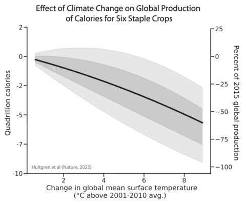 Chart shows decline in global food production capacity as global surface temperatures rise.