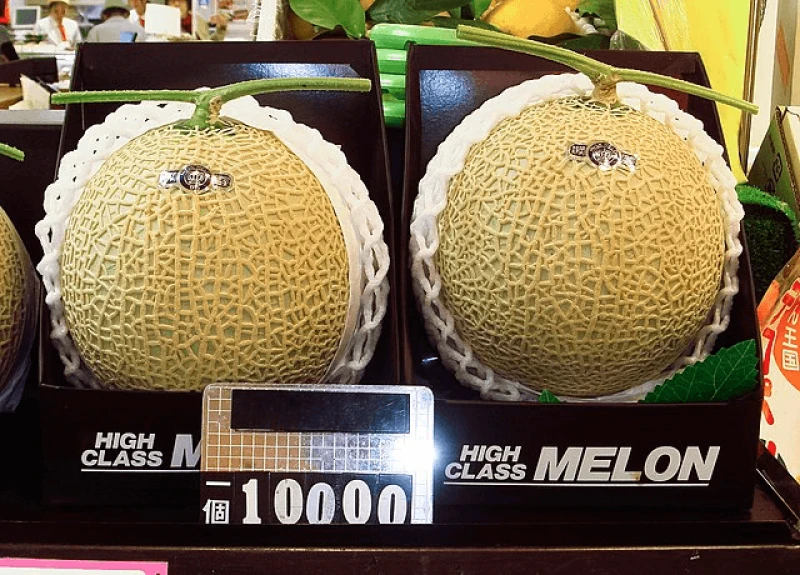 Japanese muskmelon. Credit: Bobak Ha'Eri via CC-BY-3.0