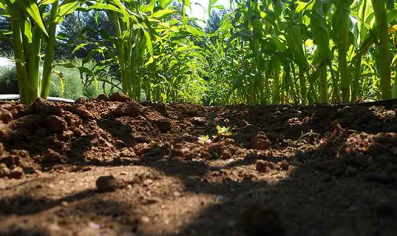 global_soil_week