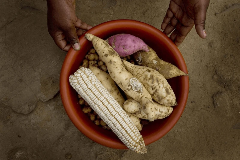 Credit: Kate Holt via AusAID and CC-BY-2.0