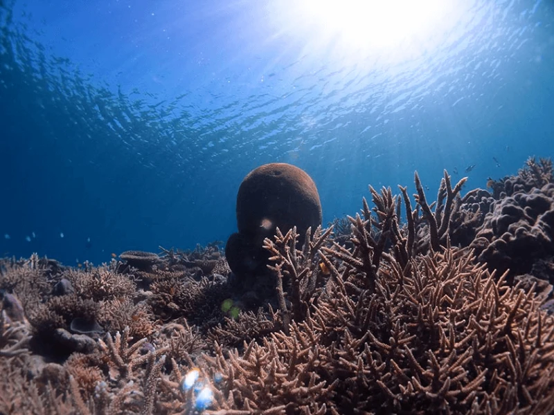 structure by d printed shapes feature image structure by d printed shapes feature image