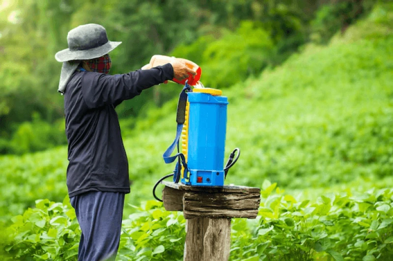 farmers are preparing insecticide spraying soybean field