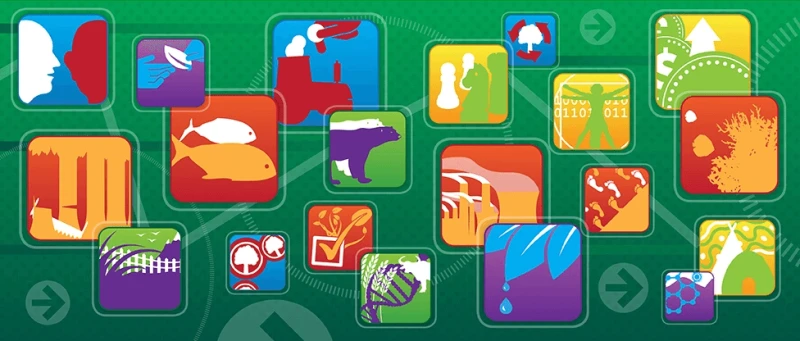 Credit: Dario Piselli