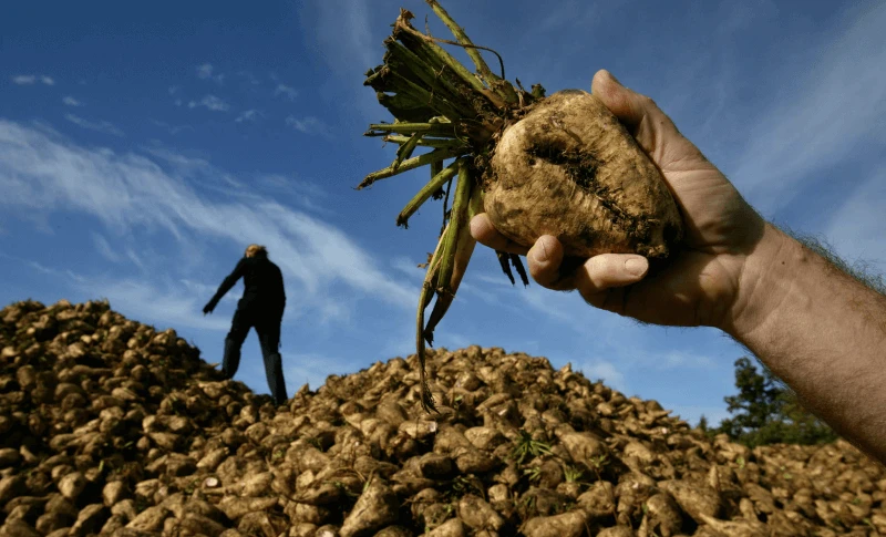 Credit: Dan Chung via Guardian