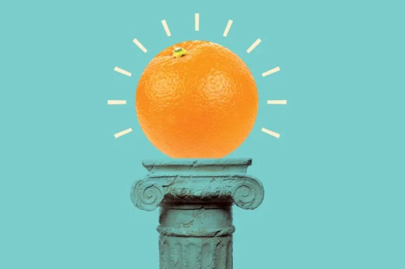 The company tested for HLB resistance by grafting their CRISPR-edited trees onto HLB-diseased trees and found that the disease did not spread to the edited trees. Credit: Mike Lewis via UC Riverside Center for Invasive Species Research