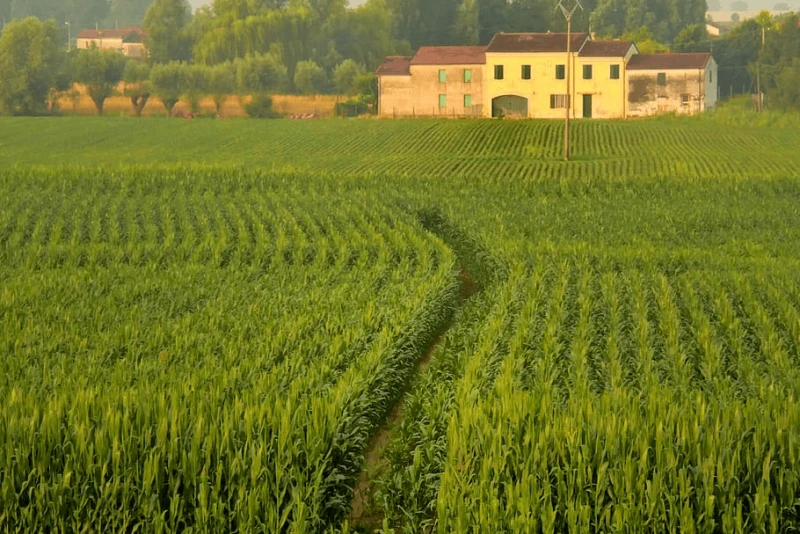 Credit: Pxfuel (Public Domain)