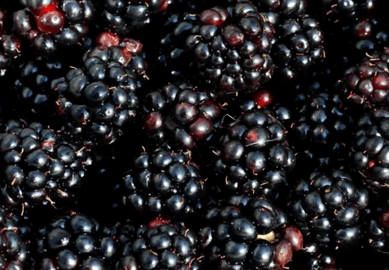 Credit: RawPixel via CC0-1.0