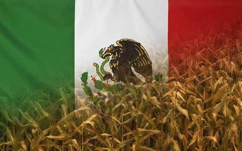 mex-flag