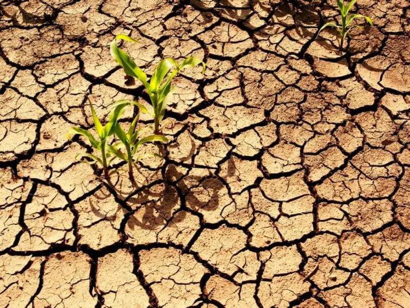 soil in africa x Credit: Afrik21
