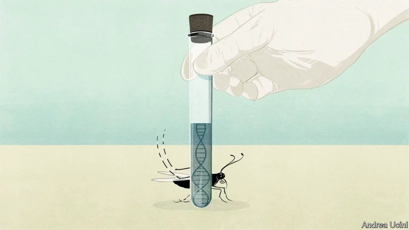 Credit: Andrea Ucini