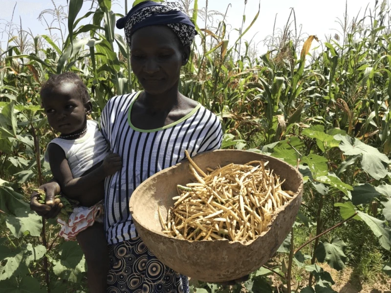 bfa-2018-exploitation-familiale-1030x773