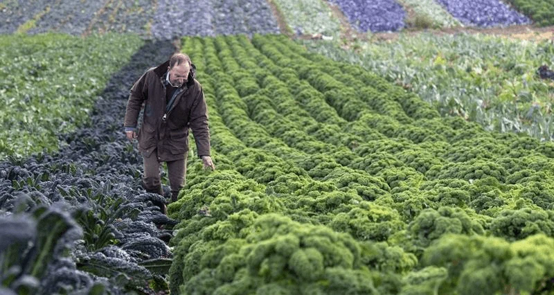 Credit: Countryside Online