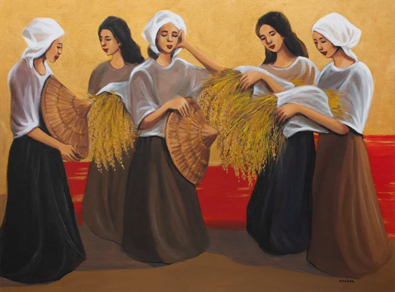 Golden Rice Harvest I. Credit: Jun Rocha