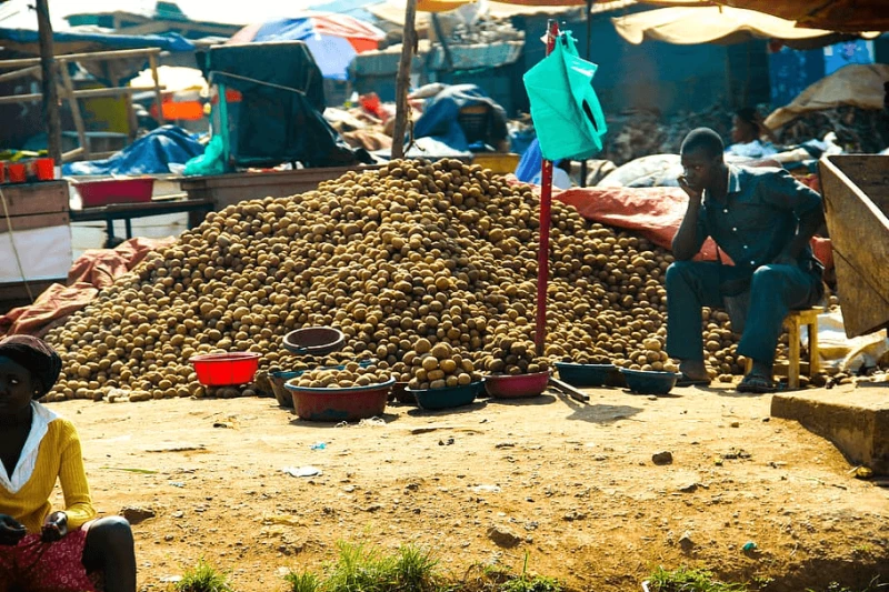 Credit: Wallpaper Flare