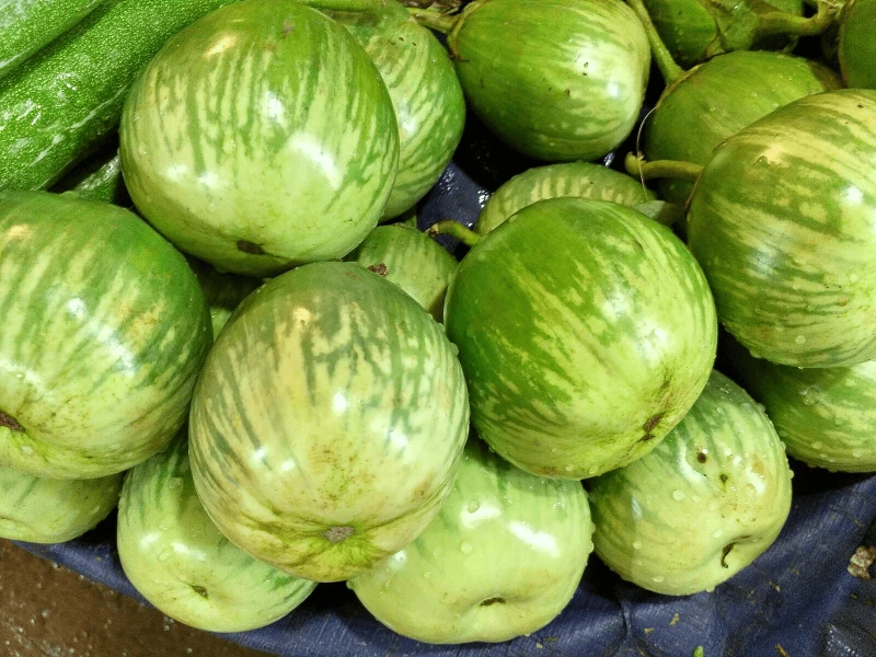 Brinjal_of_Bangladesh
