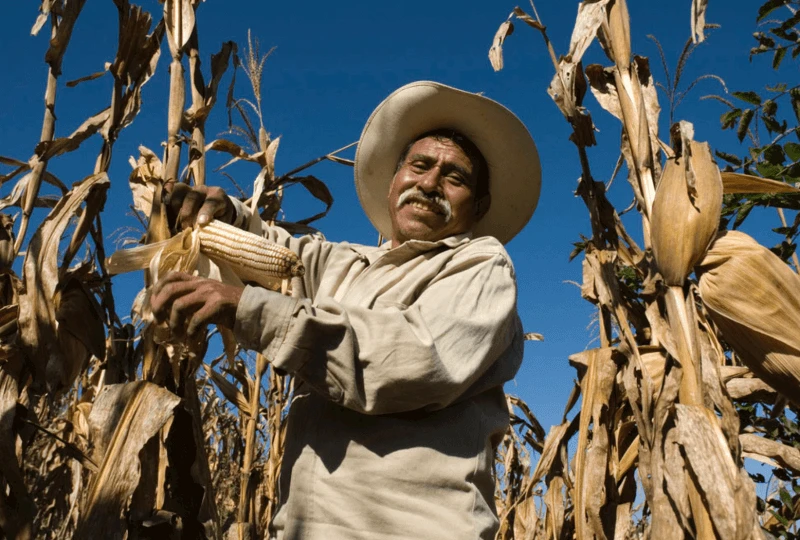 screenshot at pm q m l b bcr rkxsqizyvyz z xtswwymaj w