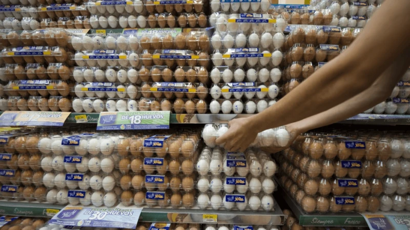 Credit: Ronaldo Schemidt