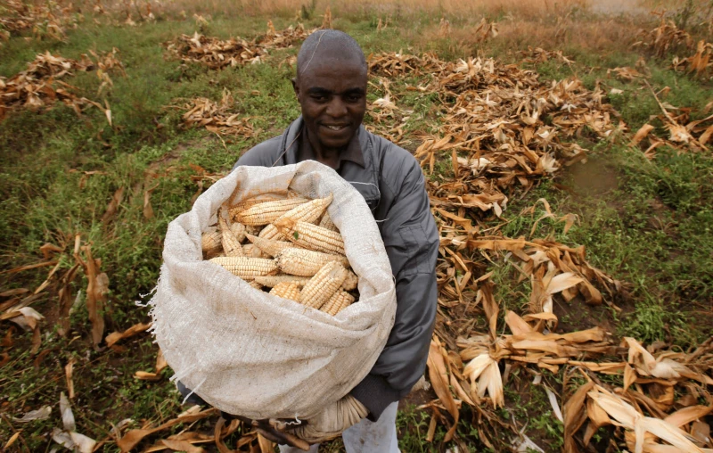 Credit: Philimon Bulawayo/Reuters