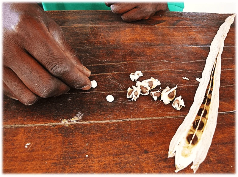 CreditK Wikimedia Commons (CC BY-SA 4.0)