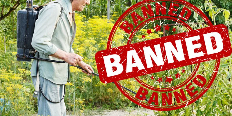 Glyphosate_Pesticide_Banned_1200x600 Glyphosate_Pesticide_Banned_1200x600